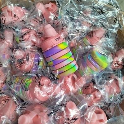 Eurosonic collapsible water bottle