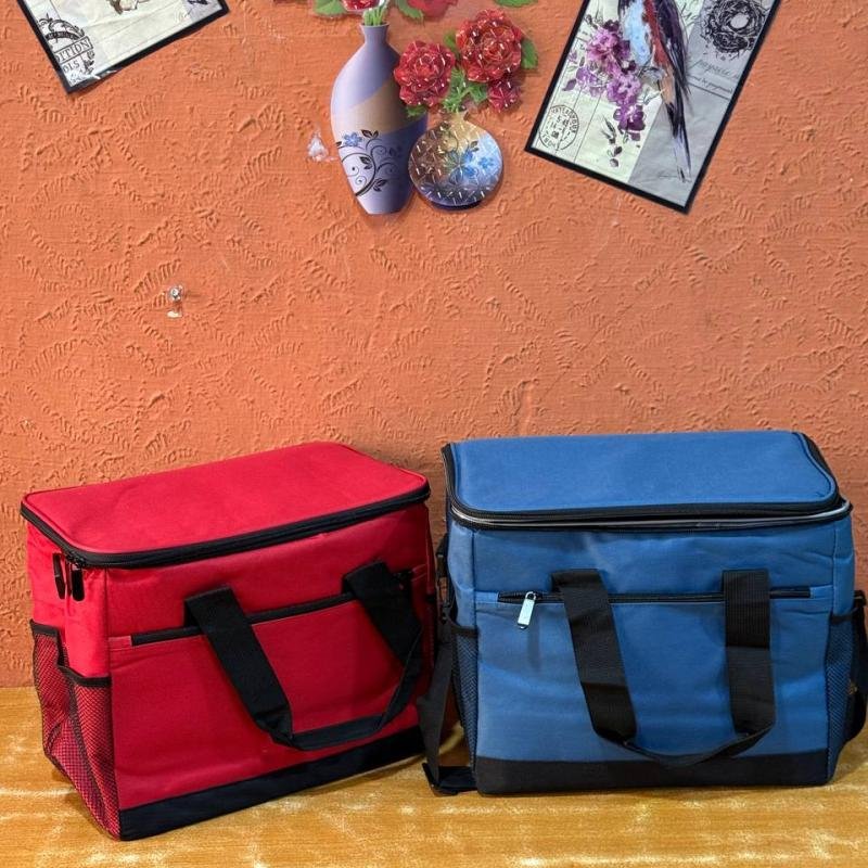 LARGE CAPACITY LUNCH/PICNIC BAG