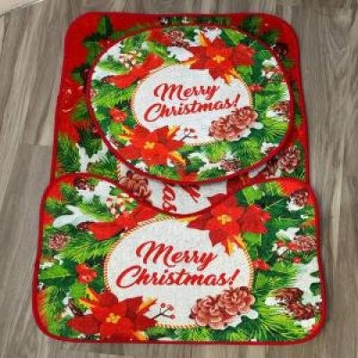3 in 1 Christmas Design Footmats